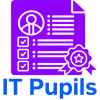 IT-Pupils-Logo